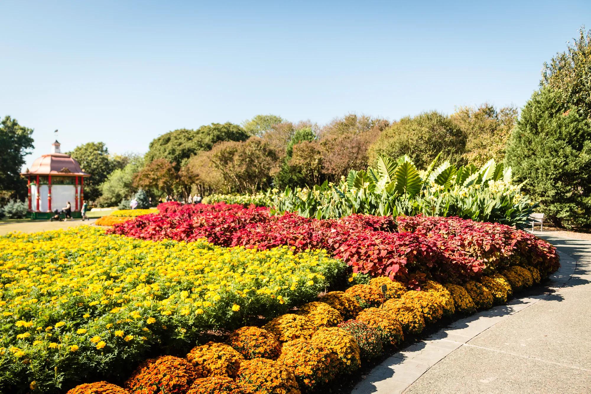 Variety of flowers and plants at the park