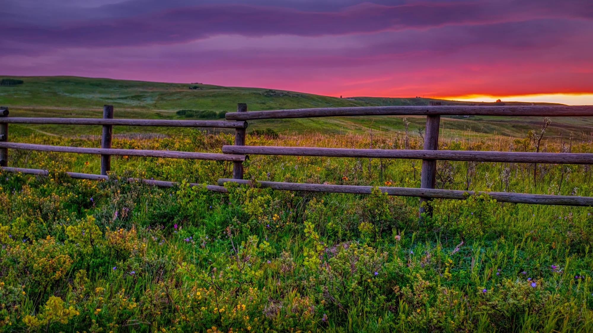 fence and field at sunrise in Tennessee