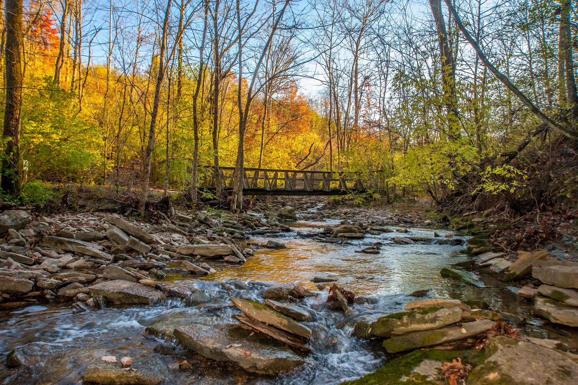 Footbridge over rocky creek in autumn woods