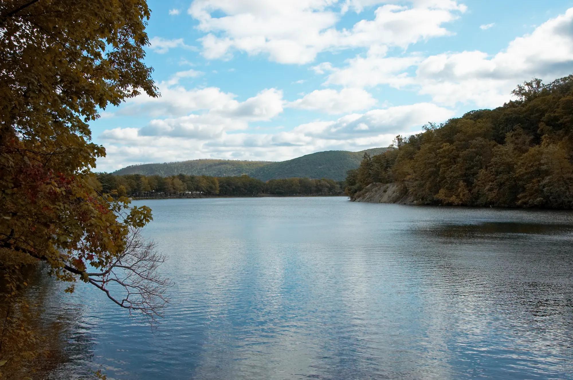Lake and trees nature landscape with blue cloudy sky