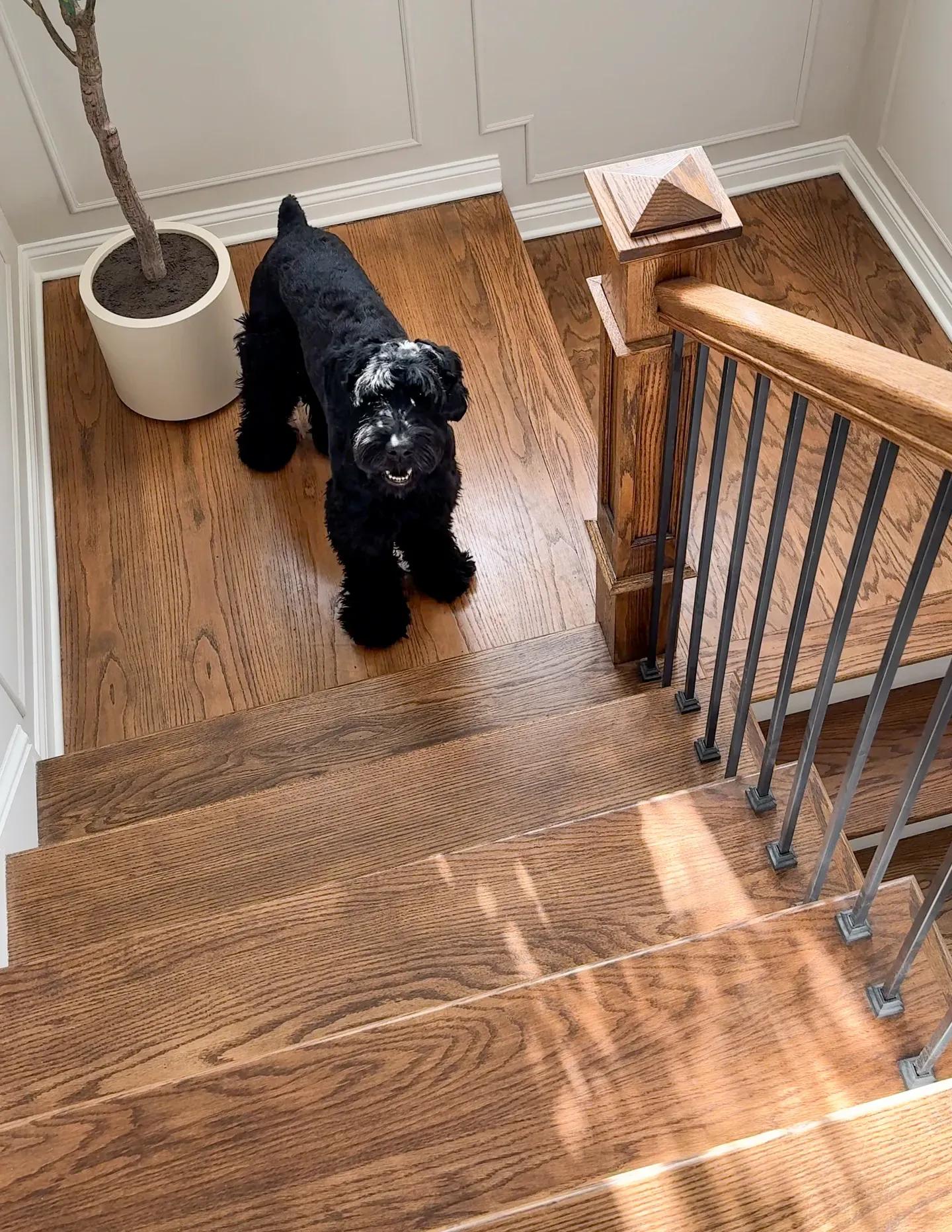 Cleveland custom home upgrades