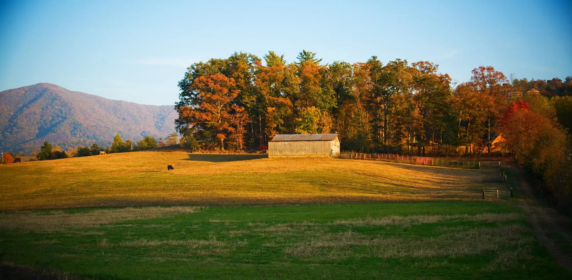 Barn with fields, woods, and mountains in Tennessee