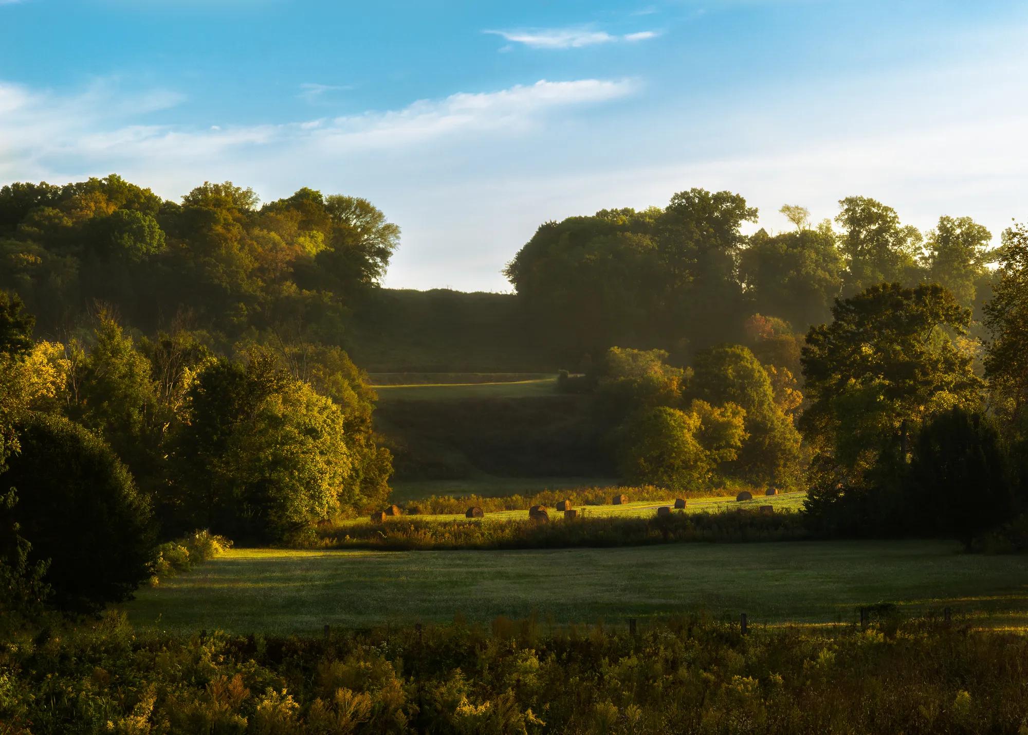 Landscape in Nashville, TN