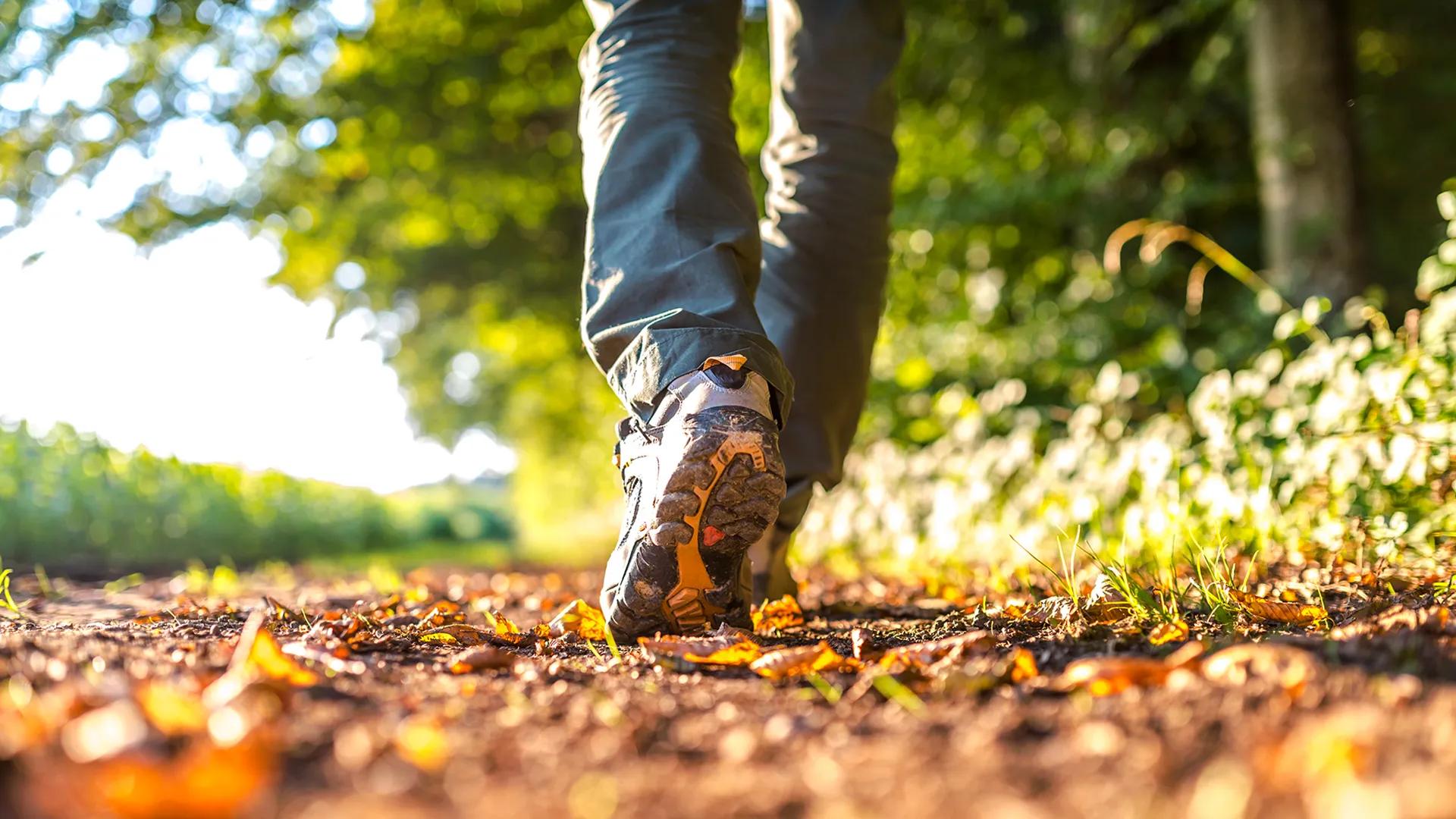 Man on walking trail, autumn