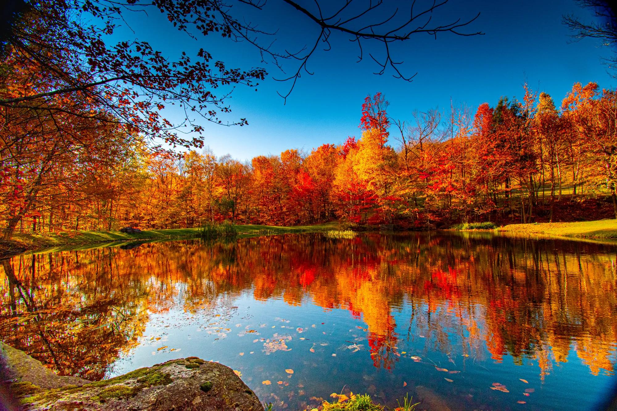 Orange and red trees on lake in autumn