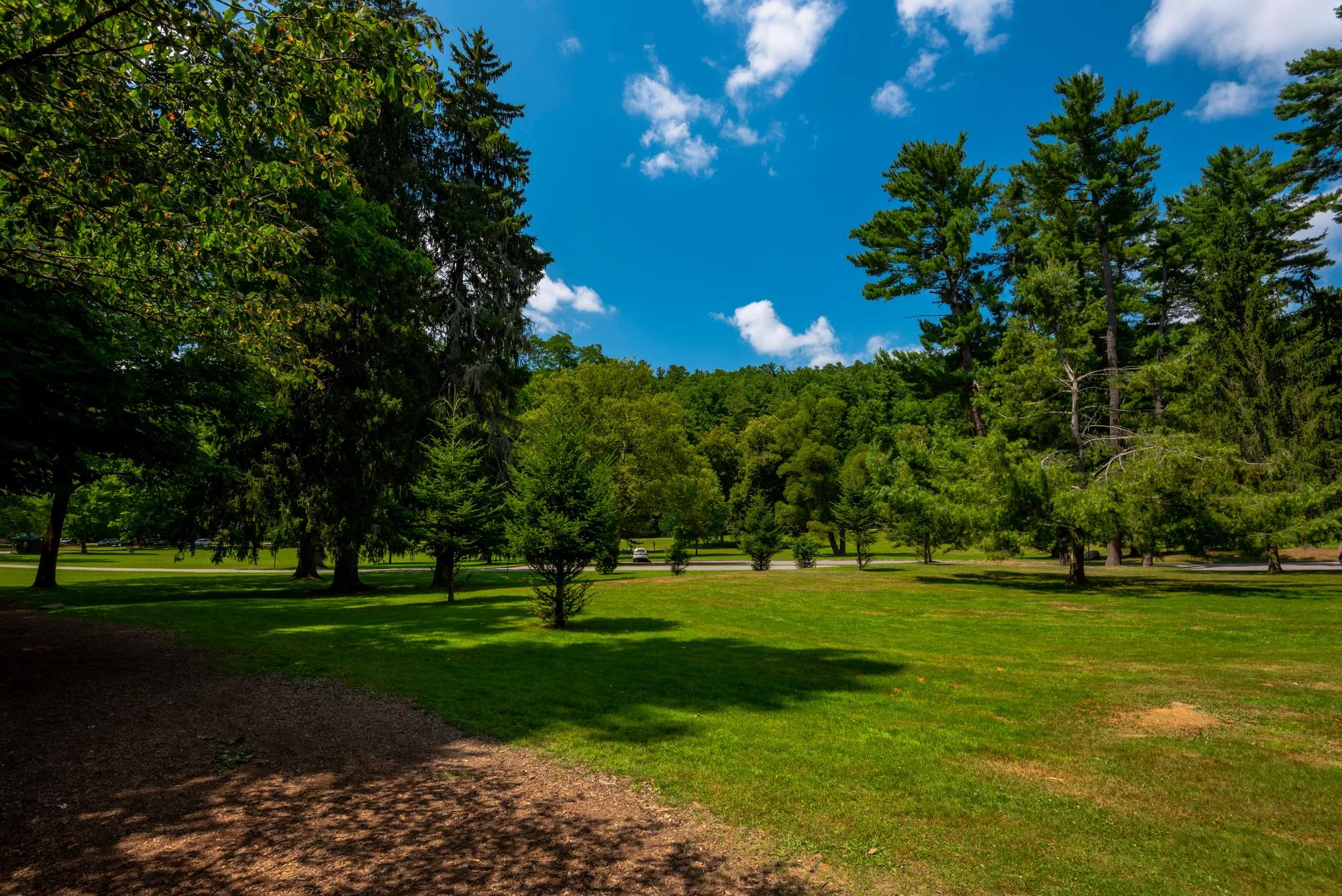 Spacious park with greenspace, trees, and blue sky