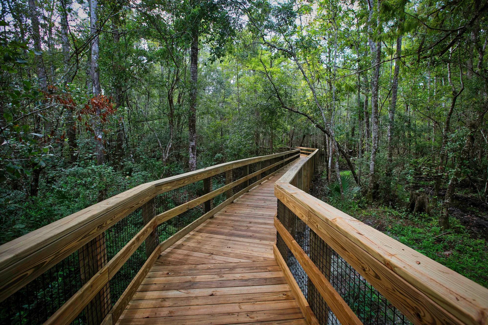 New Homes for Sale at Trailmark Phase 6 in St. Augustine, FL
