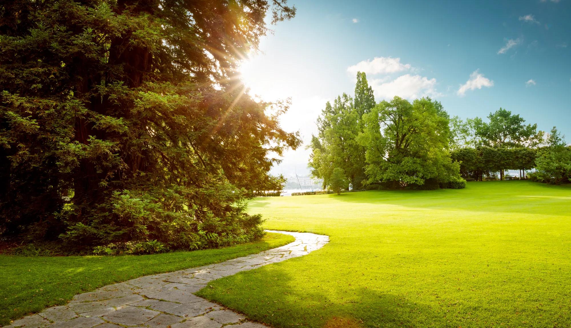 Green grassy park with walking trail