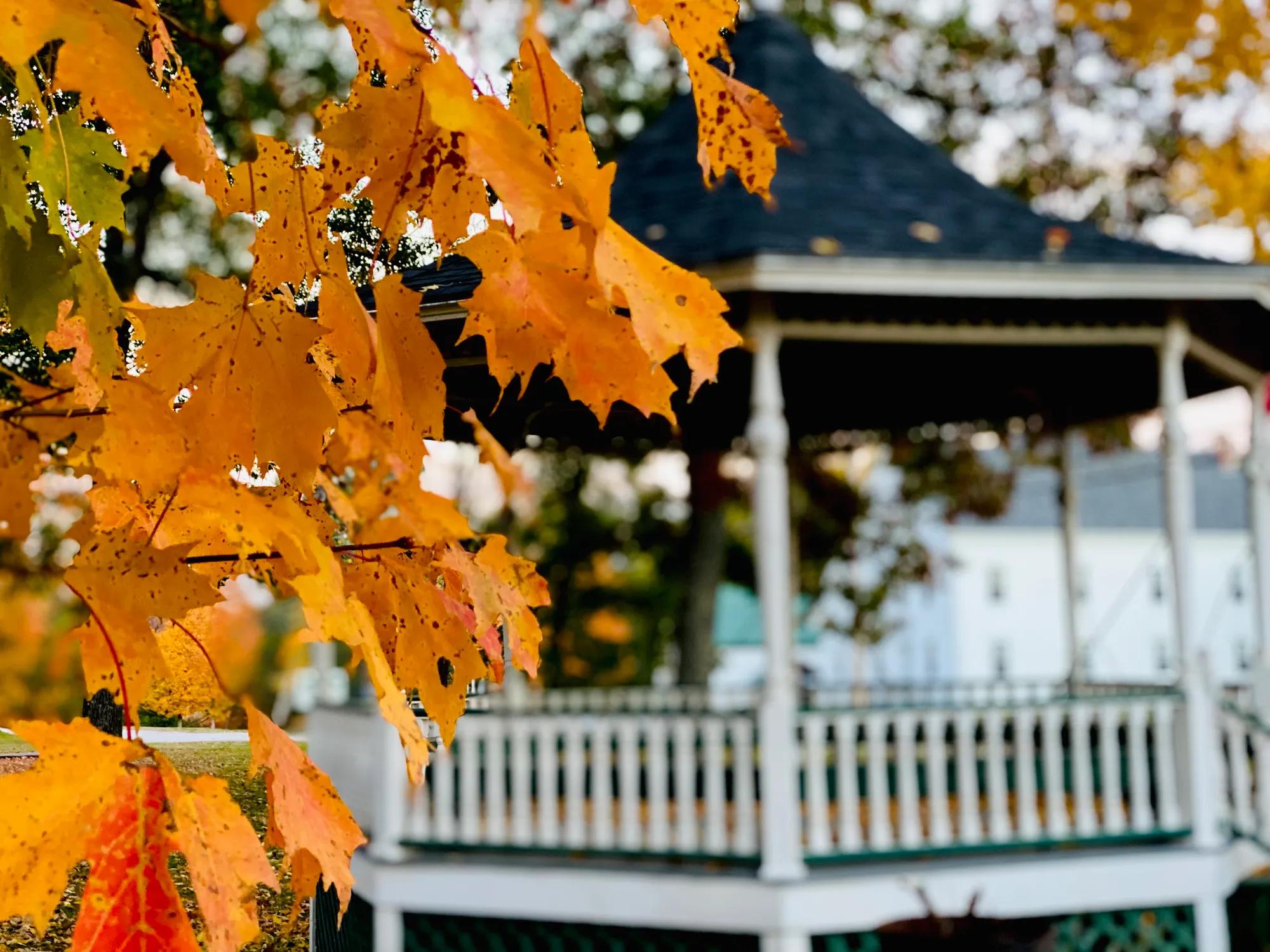 Fall leaves by the Gazebo