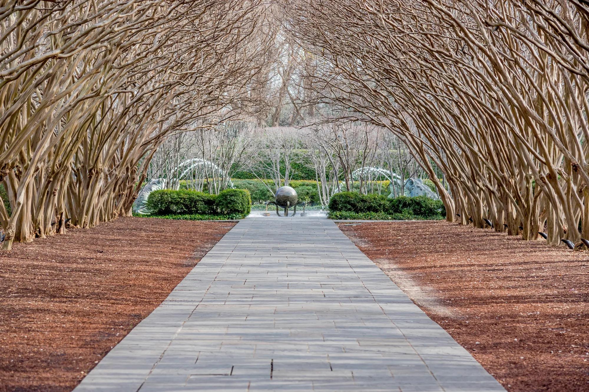 Dallas Texas Abortorium and Botanic Garden in Winter