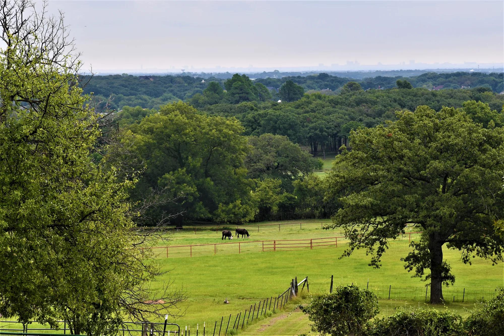 Scenery, farm life and wild life in Argyle, TX