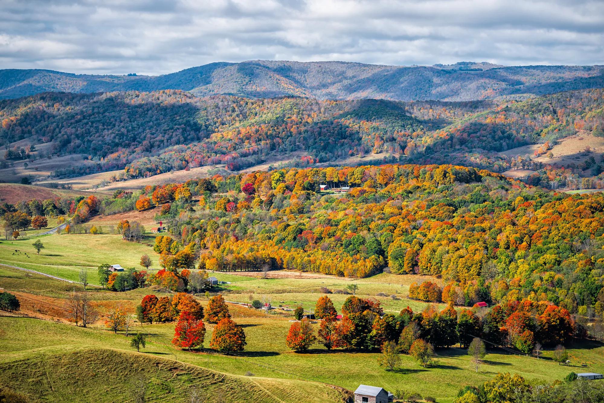 Rolling hills in autumn