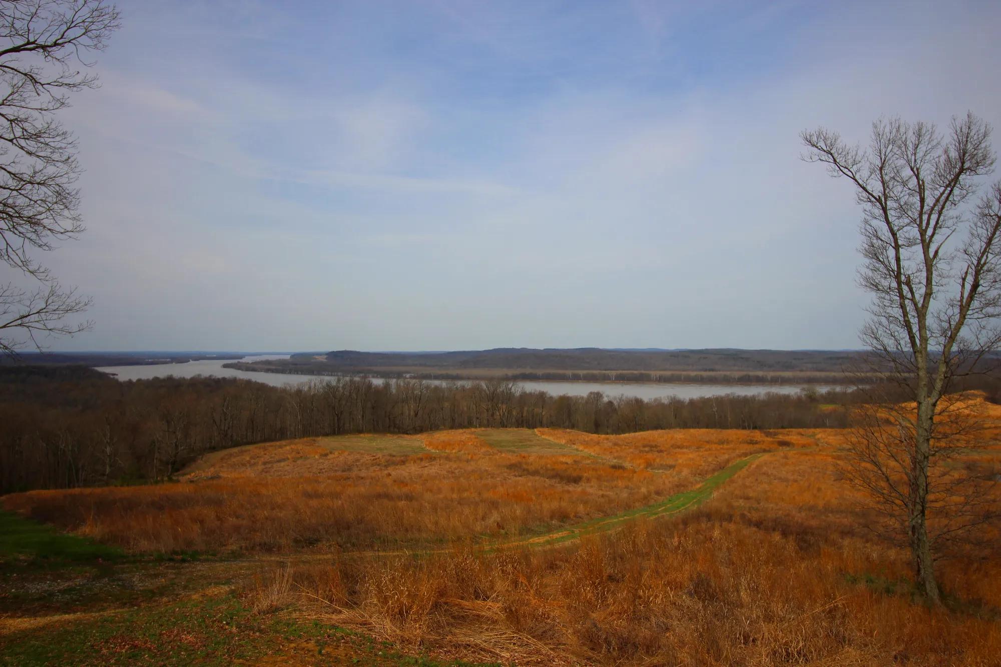 Seasonal views of Kentucky in Winter/Spring - trees, the valley, and the Ohio River