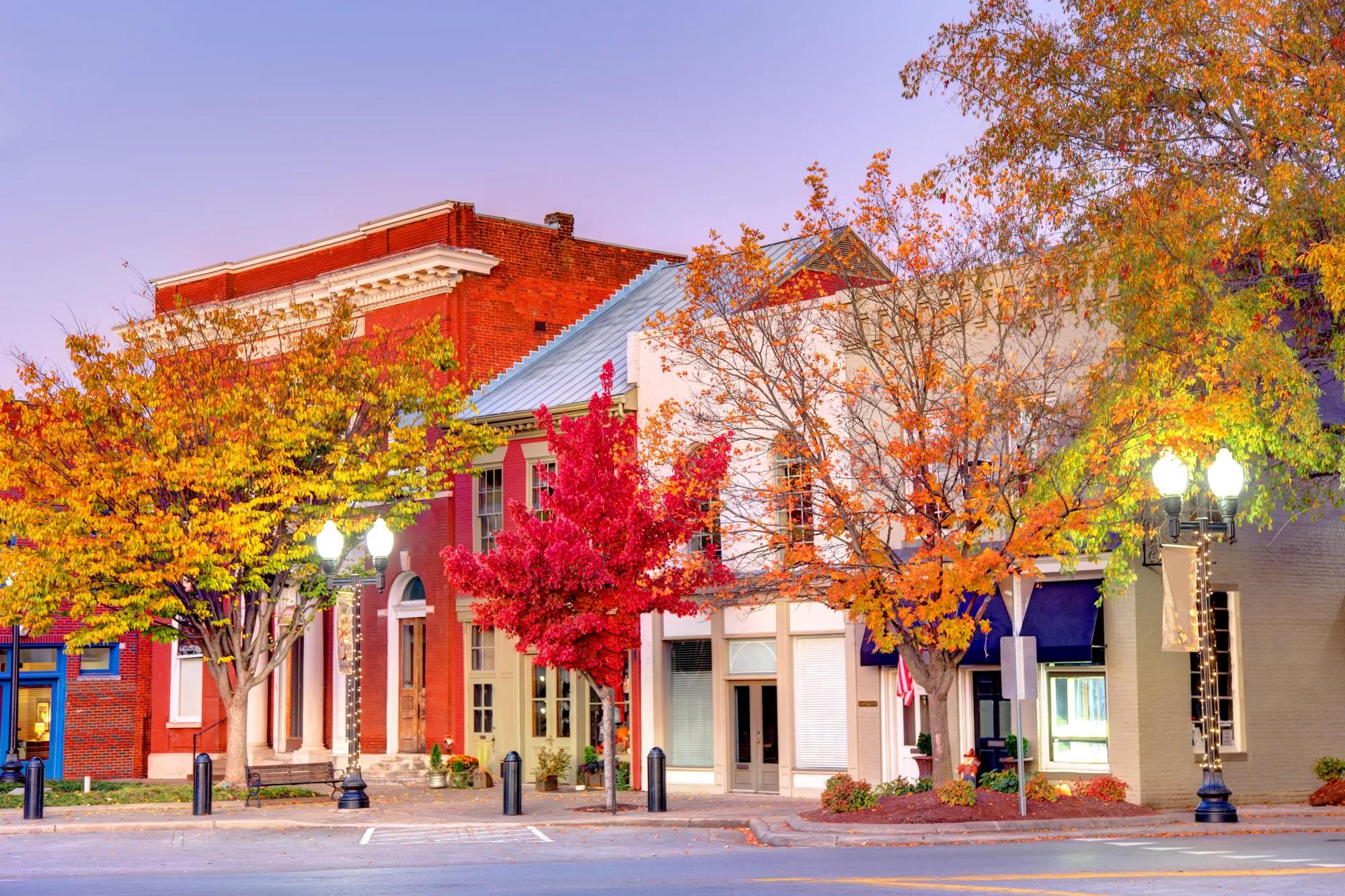 Franklin is a city in, and the county seat of, Williamson County, Tennessee, United States.