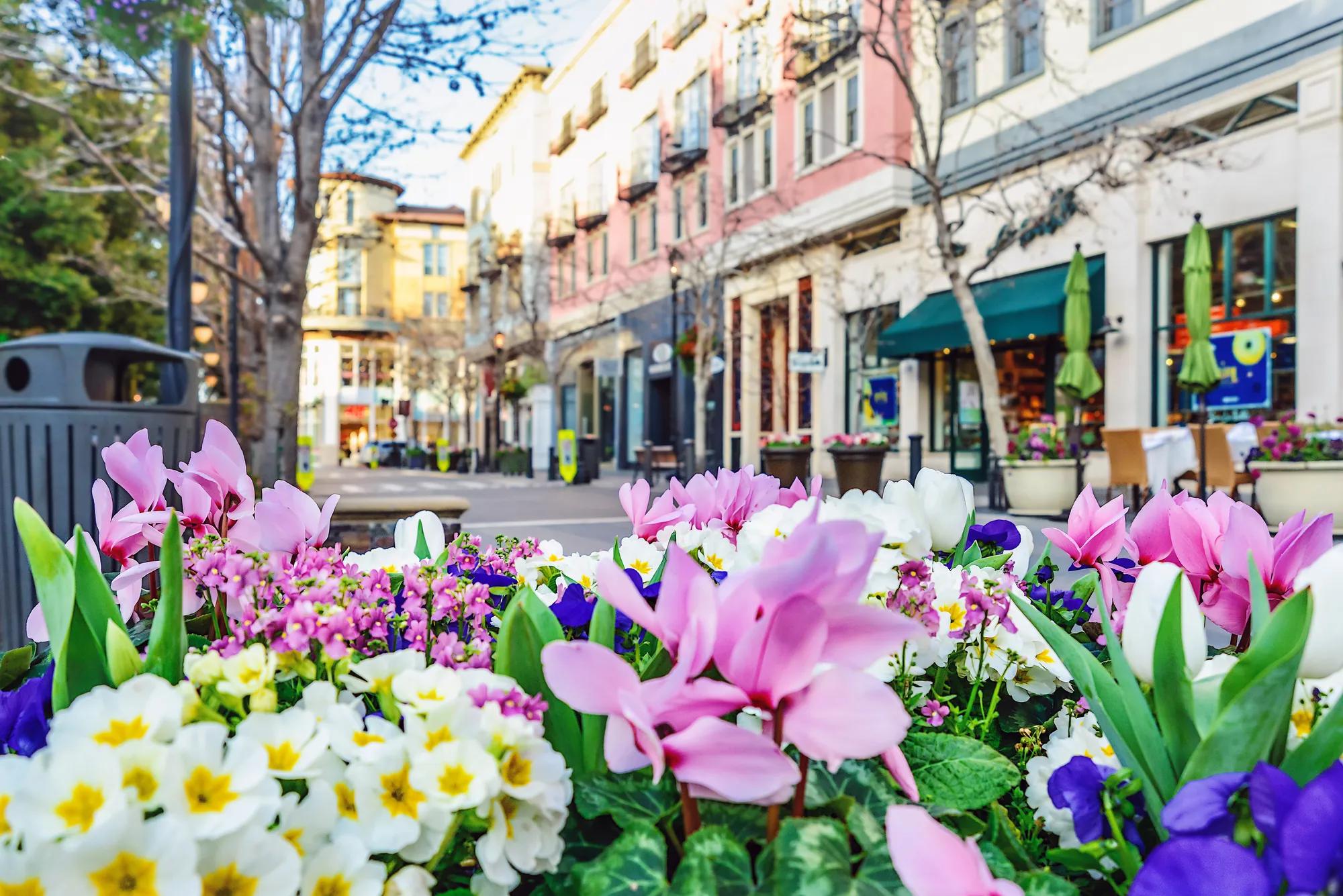 Flowers, shops and restaurants in downtown streets