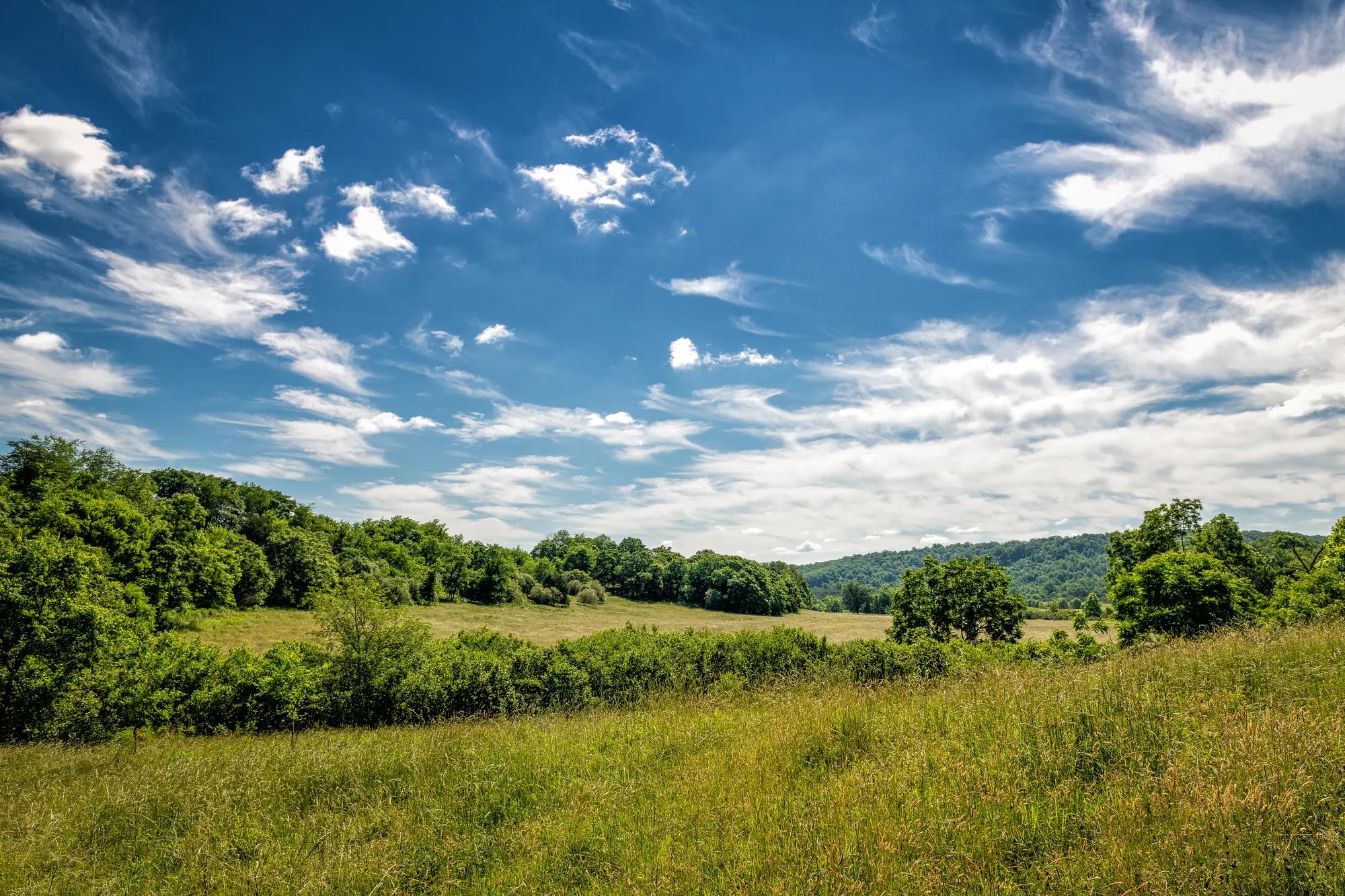 Scenic landscape