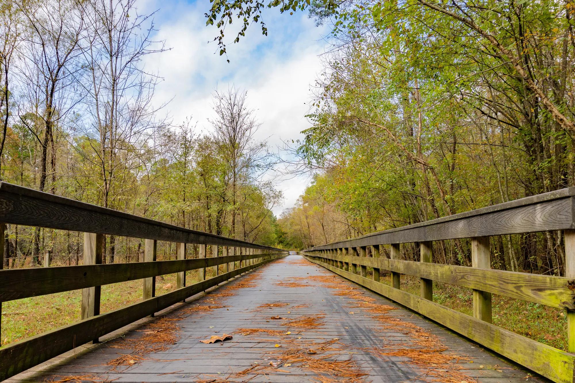 Wooden bridge