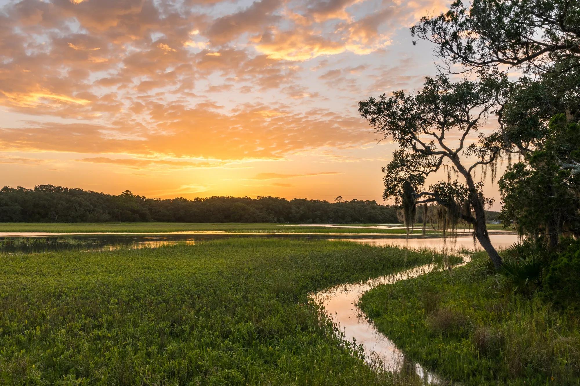 Sunset over marsh in Jacksonville, FL